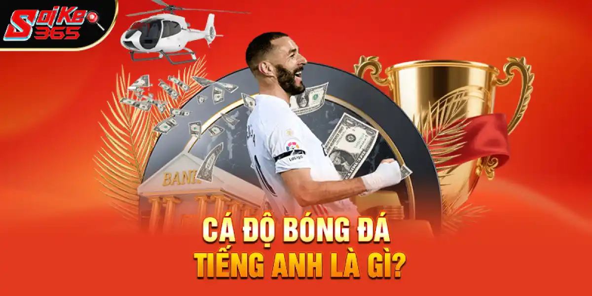 Cá Độ Bóng Đá Tiếng Anh Là Gì?