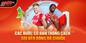 Cách soi kèo bóng đá chuẩn – Bí quyết giúp bạn chiến thắng dài hạn trong cá độ