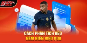 Hướng Dẫn Chi Tiết Về Kèo Ném Biên Cho Người Mới