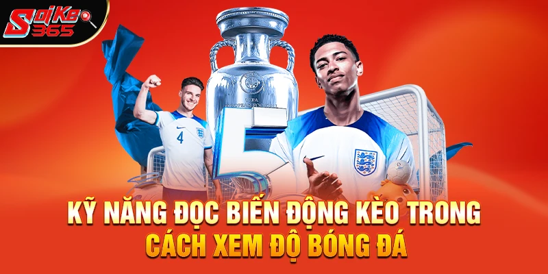 Kỹ năng đọc biến động kèo trong Cách xem độ bóng đá