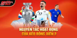Bóng xiên 2 ăn bao nhiêu – Sự hấp dẫn từ tỷ lệ thưởng nhân cấp số nhân