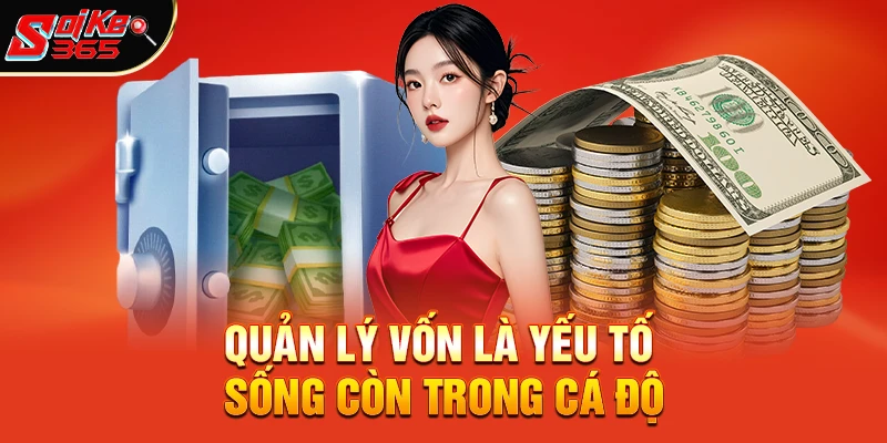 Quản lý vốn là yếu tố sống còn trong cá độ