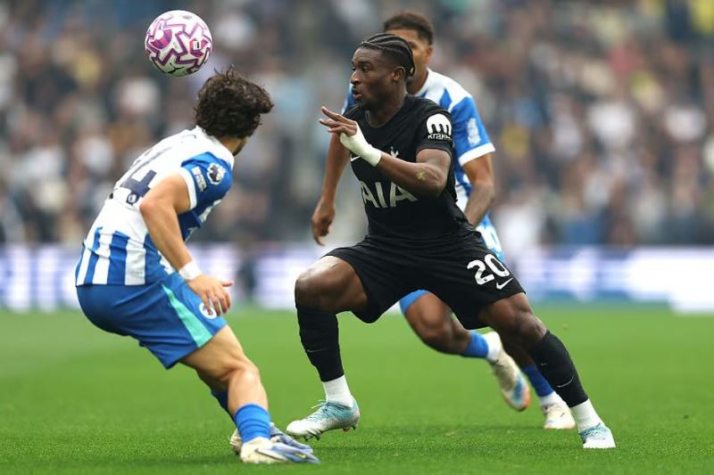 Tottenham vs Brighton